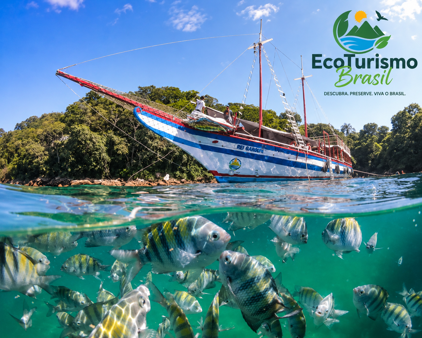 Imagem em formato panorâmico dividida visualmente em duas partes: acima da linha da água aparece uma escuna ancorada próxima à costa; abaixo da superfície do mar, diversos peixes nadam em águas cristalinas.
Na metade superior da imagem, sob um céu azul intenso com poucas nuvens brancas, encontra-se uma grande embarcação de passeio chamada “Rei Garoupa”. A escuna está posicionada na diagonal, com a proa apontando para a esquerda. O casco é branco com faixas vermelhas e azuis, e os mastros vermelhos se elevam em direção ao céu.
Sobre o convés, algumas pessoas aparecem em tamanho reduzido, realizando atividades na embarcação. Ao fundo, uma densa área de Mata Atlântica cobre as encostas da costa, formando um cenário verde e exuberante.
A linha da água atravessa a imagem horizontalmente, criando o efeito de fotografia parcialmente submersa. A superfície do mar apresenta pequenas ondulações e reflexos da luz do sol.
Na metade inferior da imagem, a água possui tonalidade verde-turquesa muito transparente. Diversos peixes tropicais ocupam quase todo o primeiro plano. Eles possuem corpo arredondado, coloração prateada e listras verticais pretas e amareladas. Alguns peixes aparecem muito próximos do observador, com detalhes visíveis das escamas, nadadeiras e olhos.
Ao fundo do ambiente subaquático, outros peixes menores nadam em diferentes profundidades, transmitindo sensação de movimento e vida marinha abundante.
No canto superior direito encontra-se o logotipo da EcoTurismo Brasil. O símbolo apresenta montanhas verdes, um rio azul, um sol amarelo e folhas que envolvem a paisagem. Abaixo está o nome “EcoTurismo Brasil” em letras verdes e o slogan: “Descubra. Preserve. Viva o Brasil.”
A imagem transmite uma sensação de aventura, contato com a natureza e integração entre o turismo náutico e a vida marinha. O contraste entre a embarcação na superfície e os peixes nadando abaixo da água destaca a riqueza dos ecossistemas costeiros brasileiros e a importância da preservação ambiental.